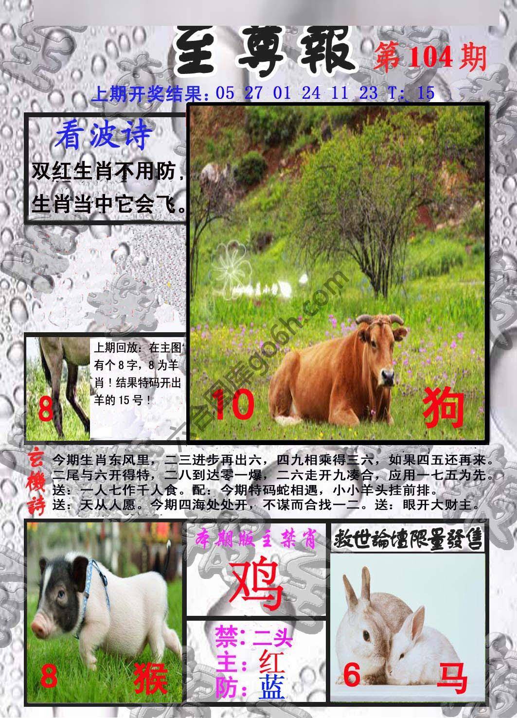 至尊报