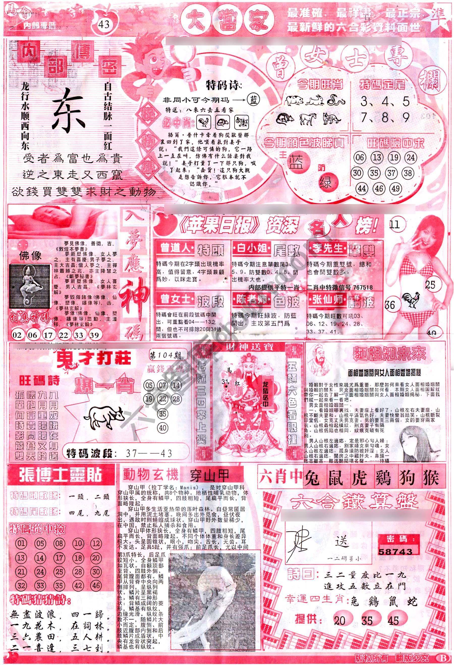 大当家