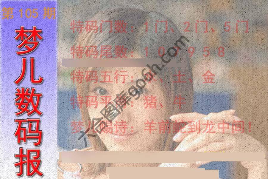 梦儿数码报