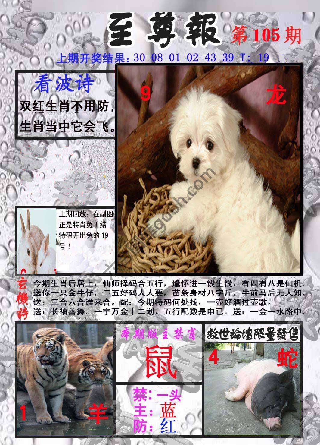 至尊报