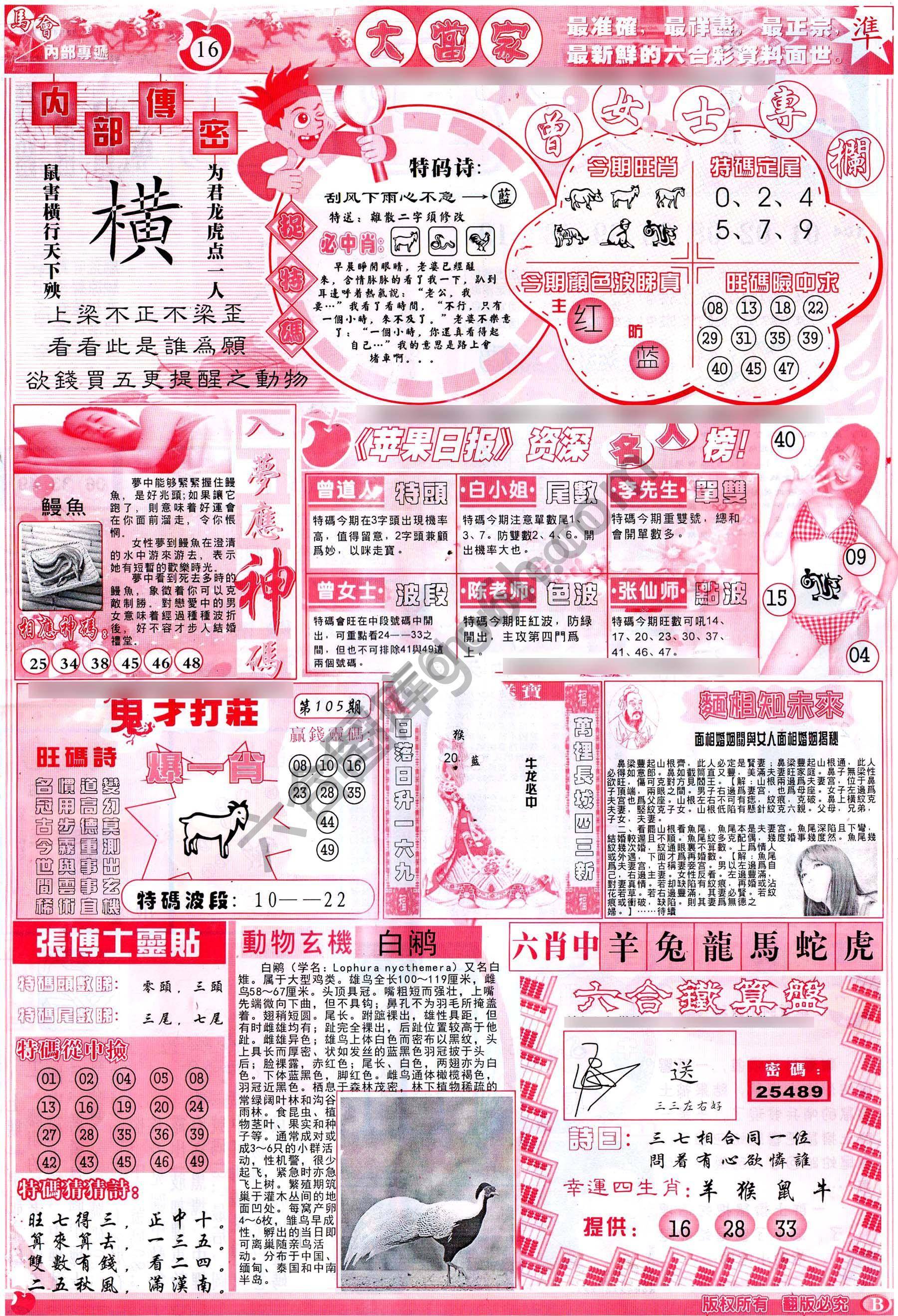 大当家
