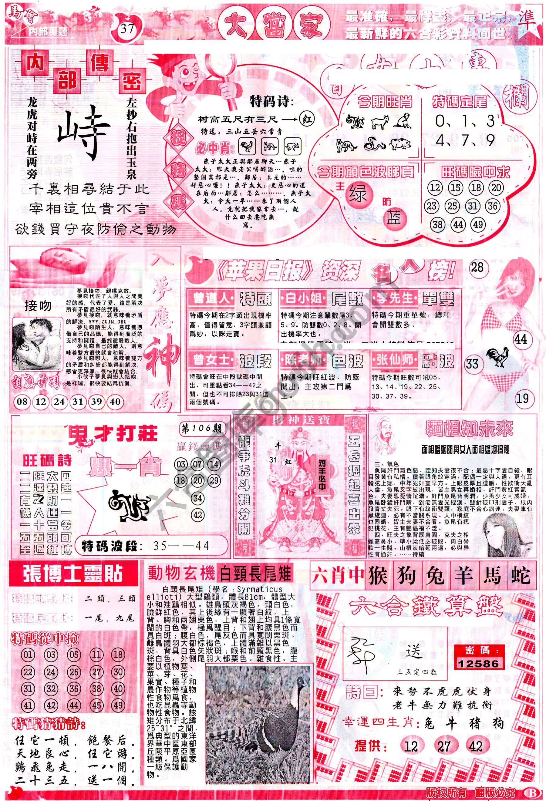 大当家