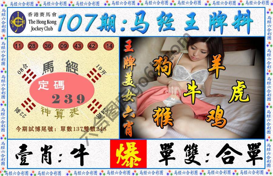 马经王牌料