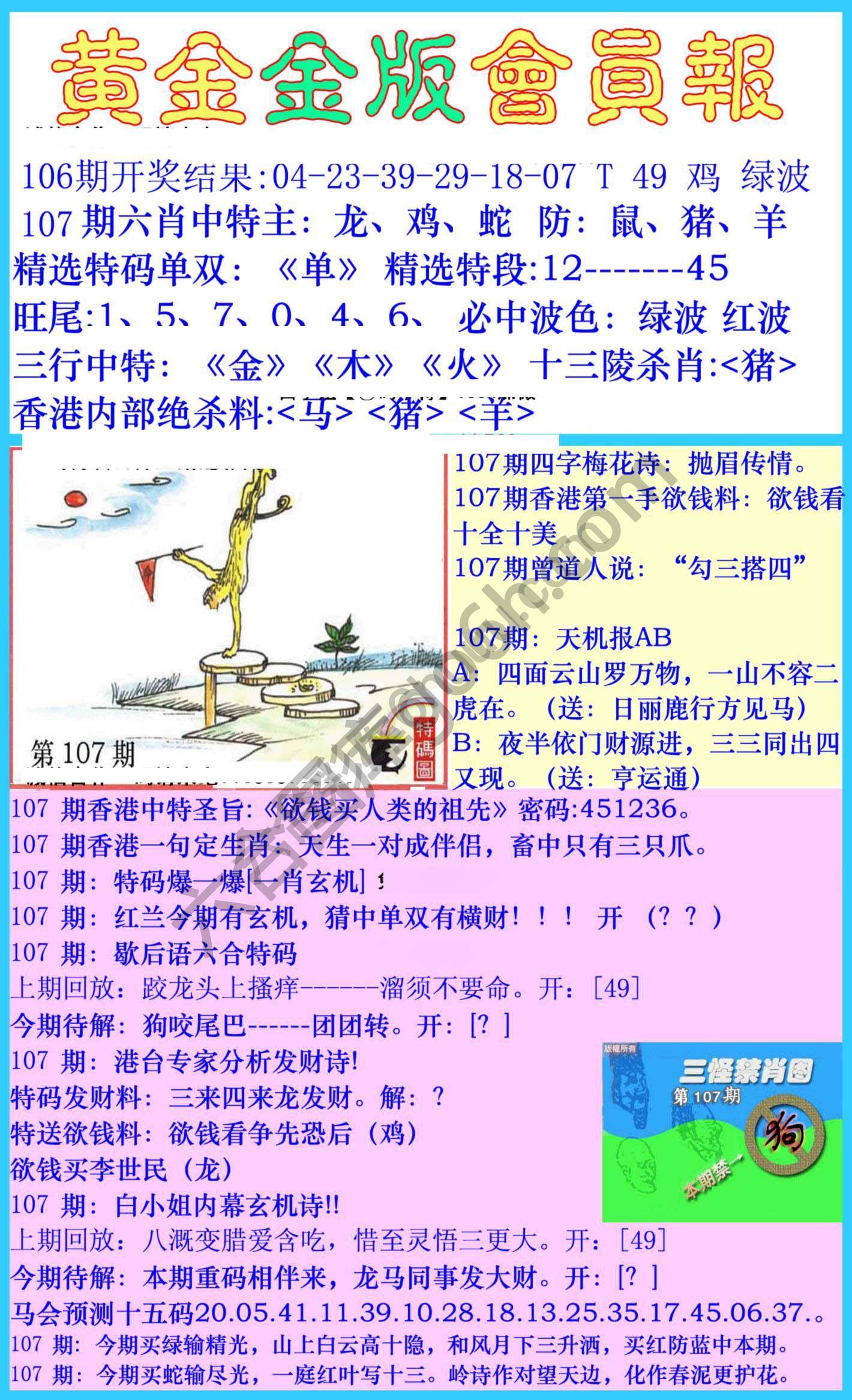 黄金金版会员报
