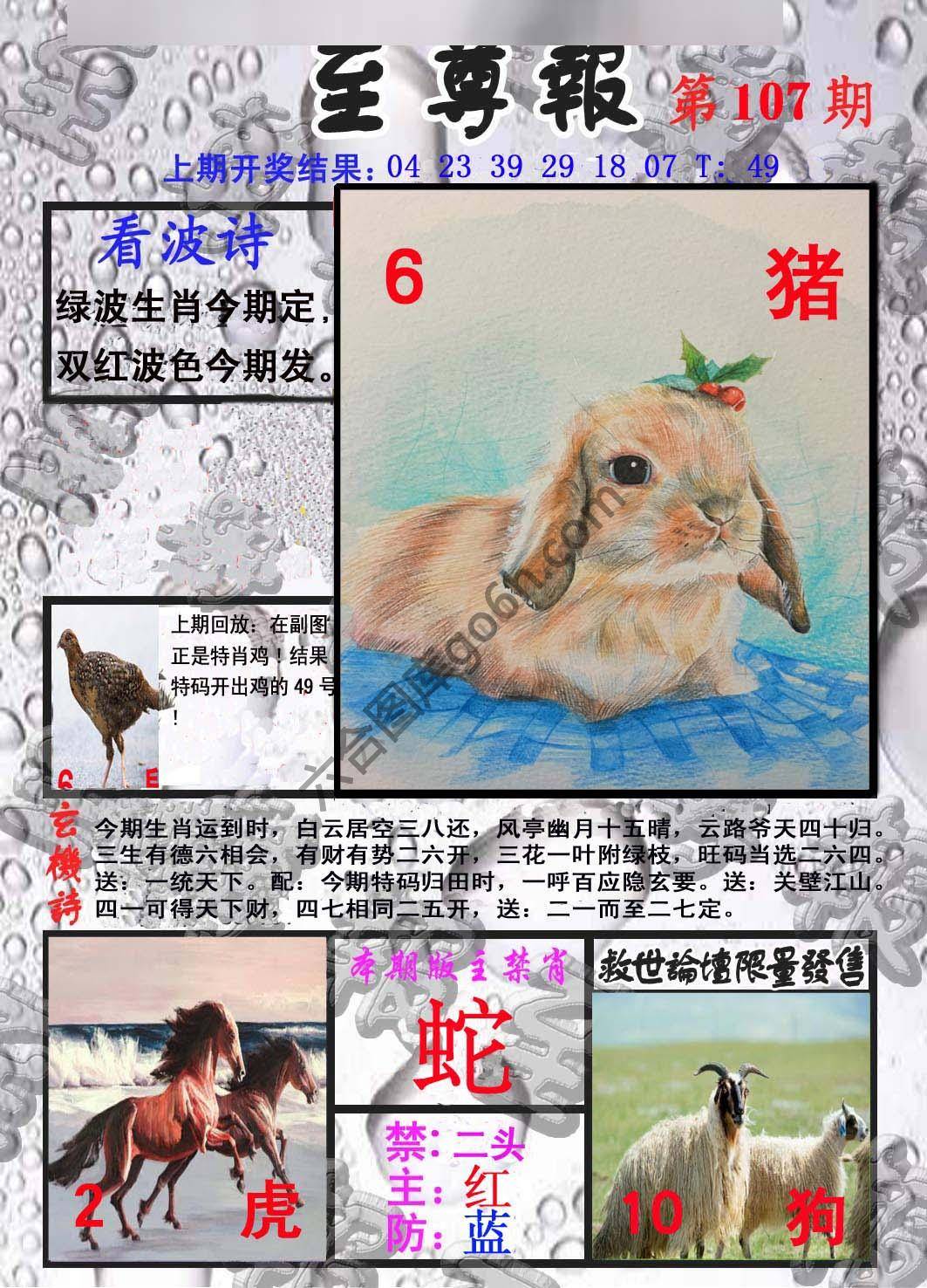 至尊报