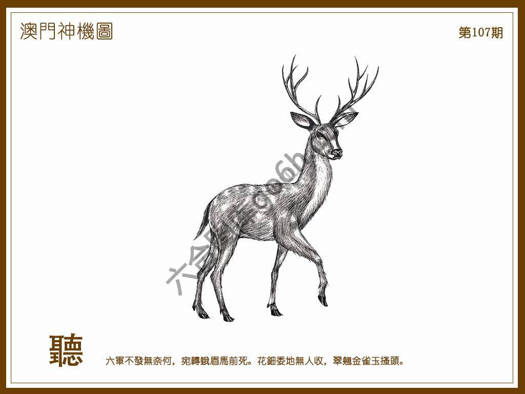 澳门神机图