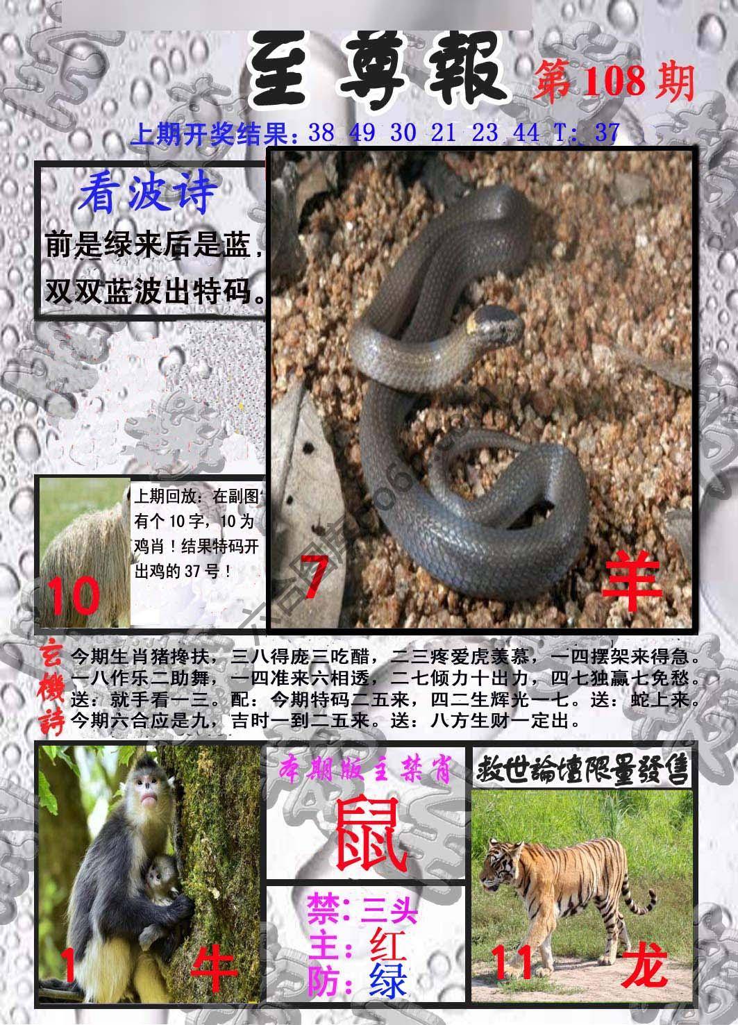 至尊报