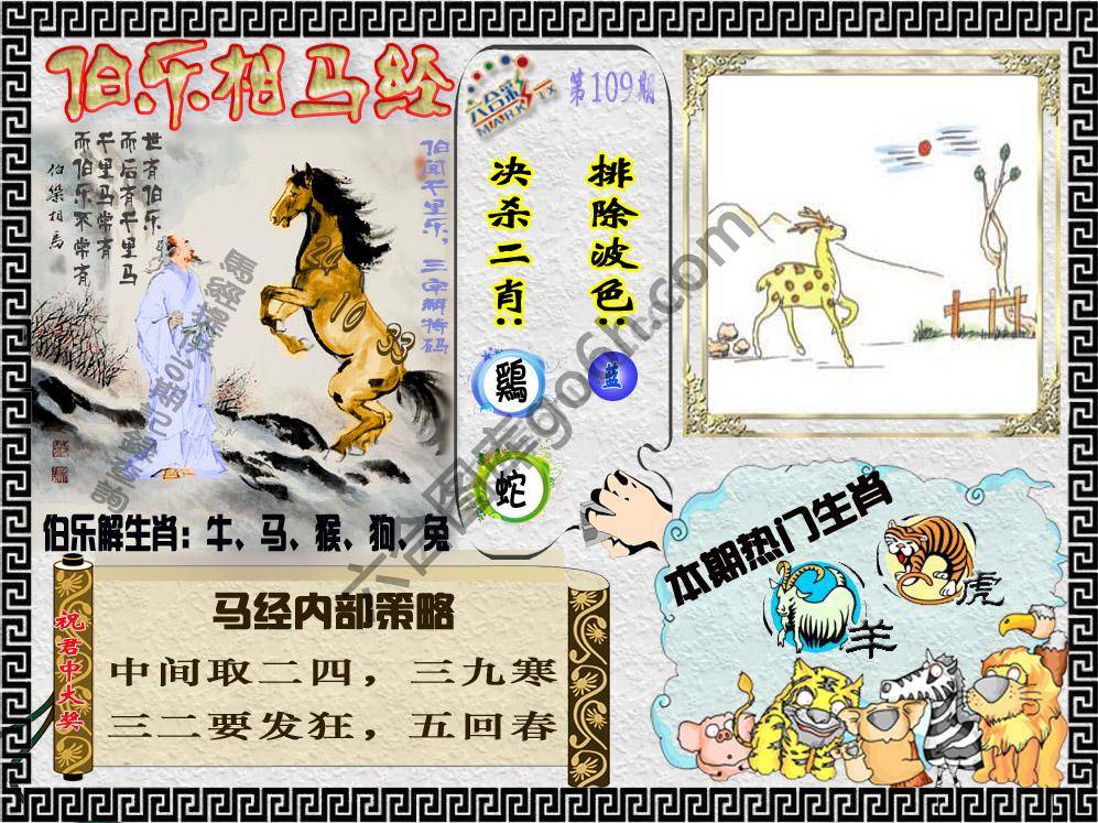 伯乐相马经