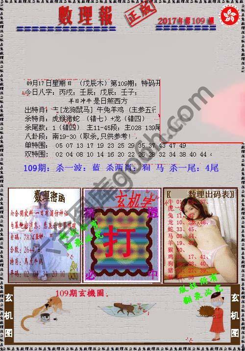 数理报