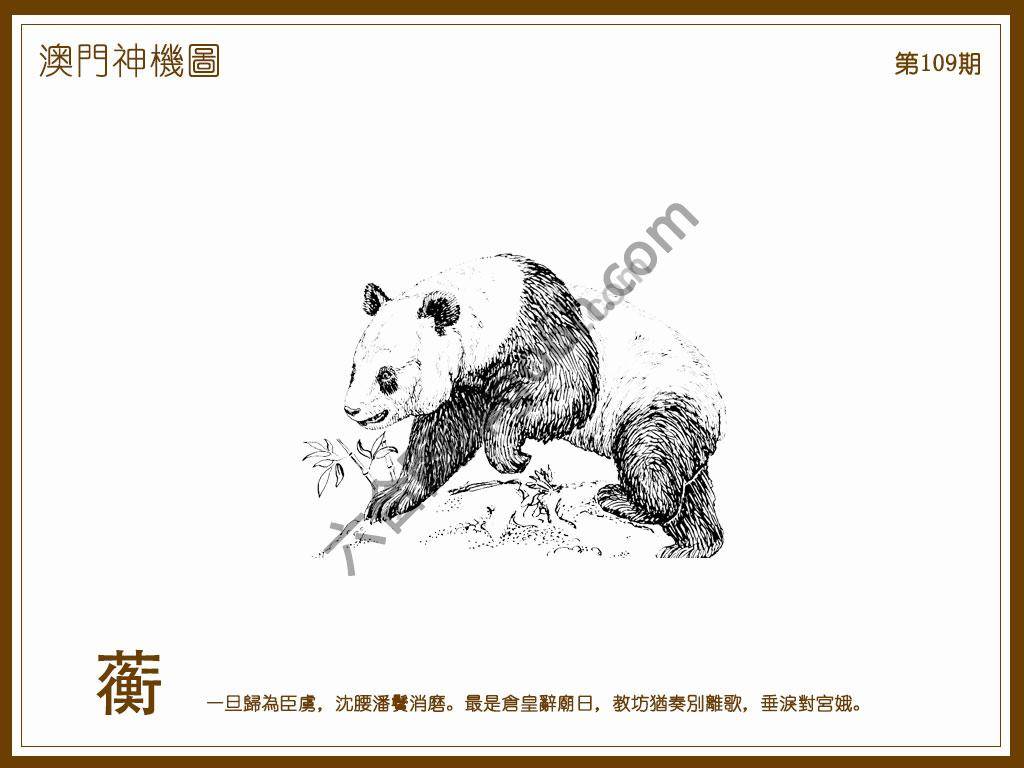 澳门神机图