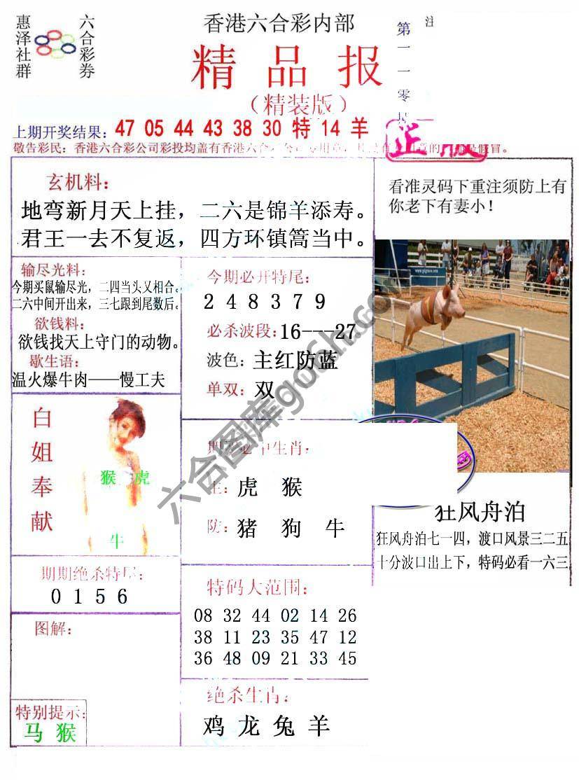 新精品报