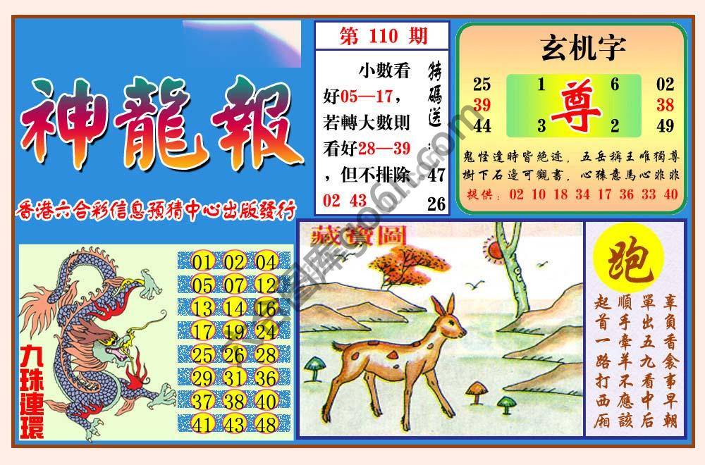 蓝月亮神龙报