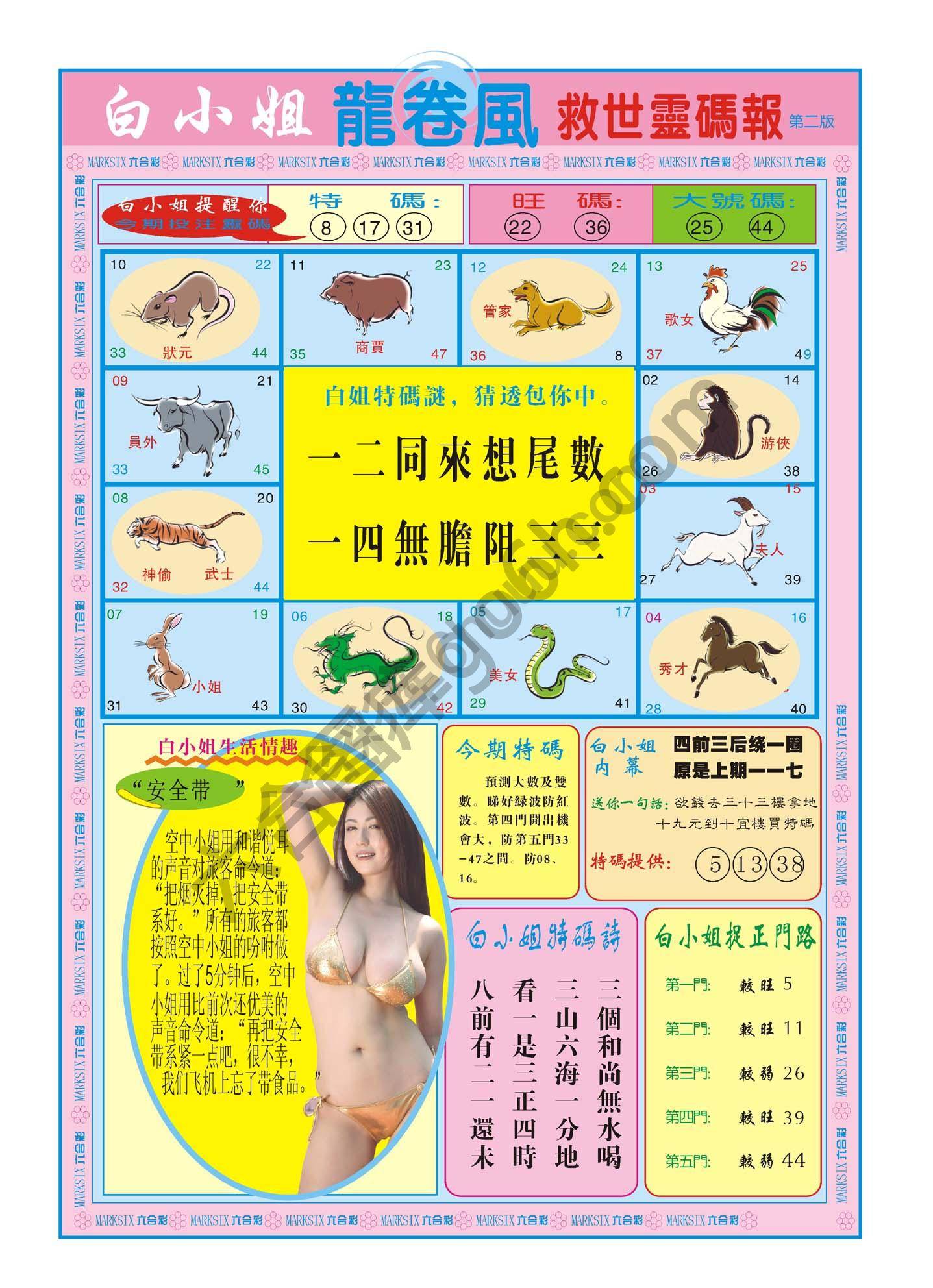 白小姐龙卷风