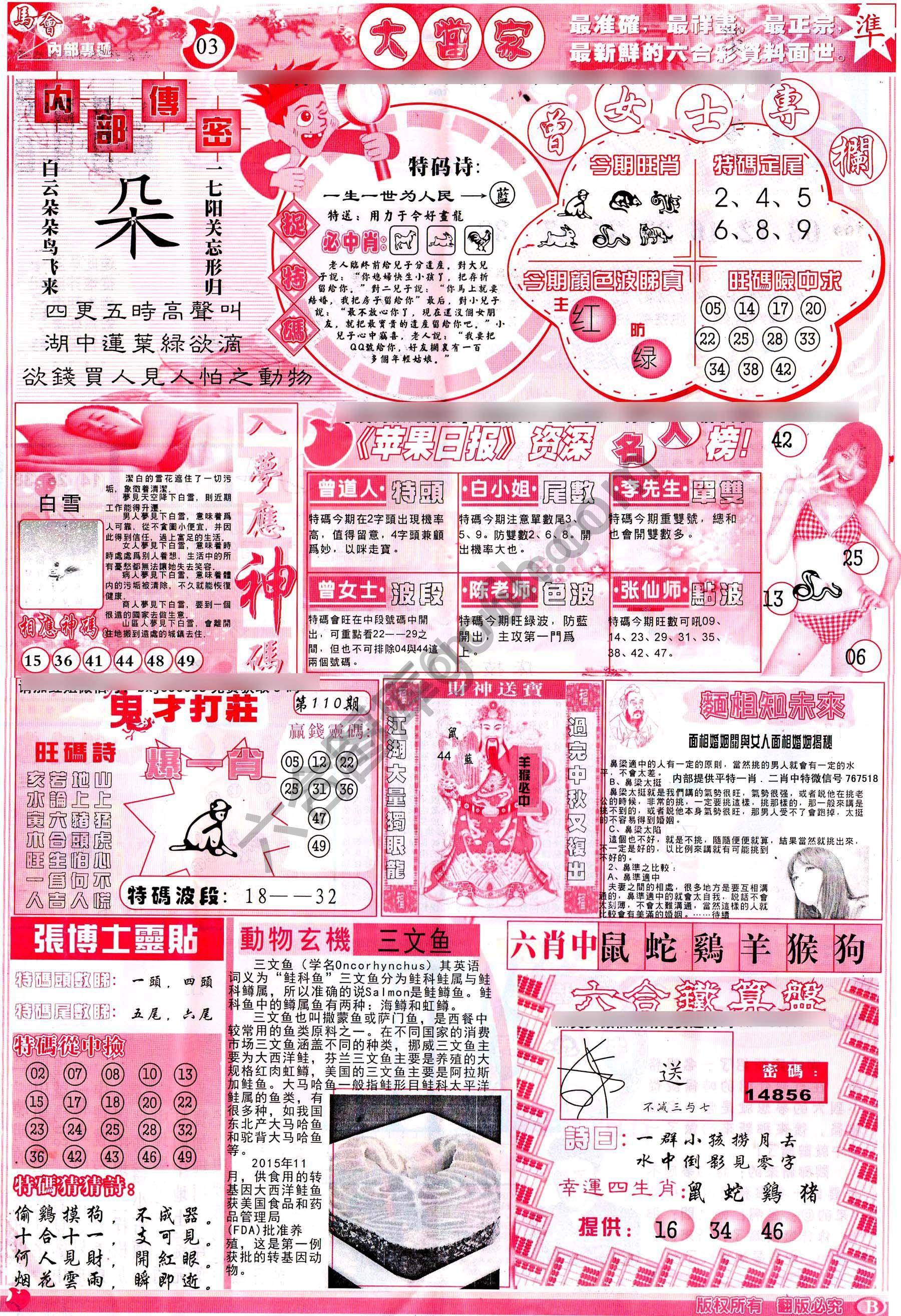 大当家