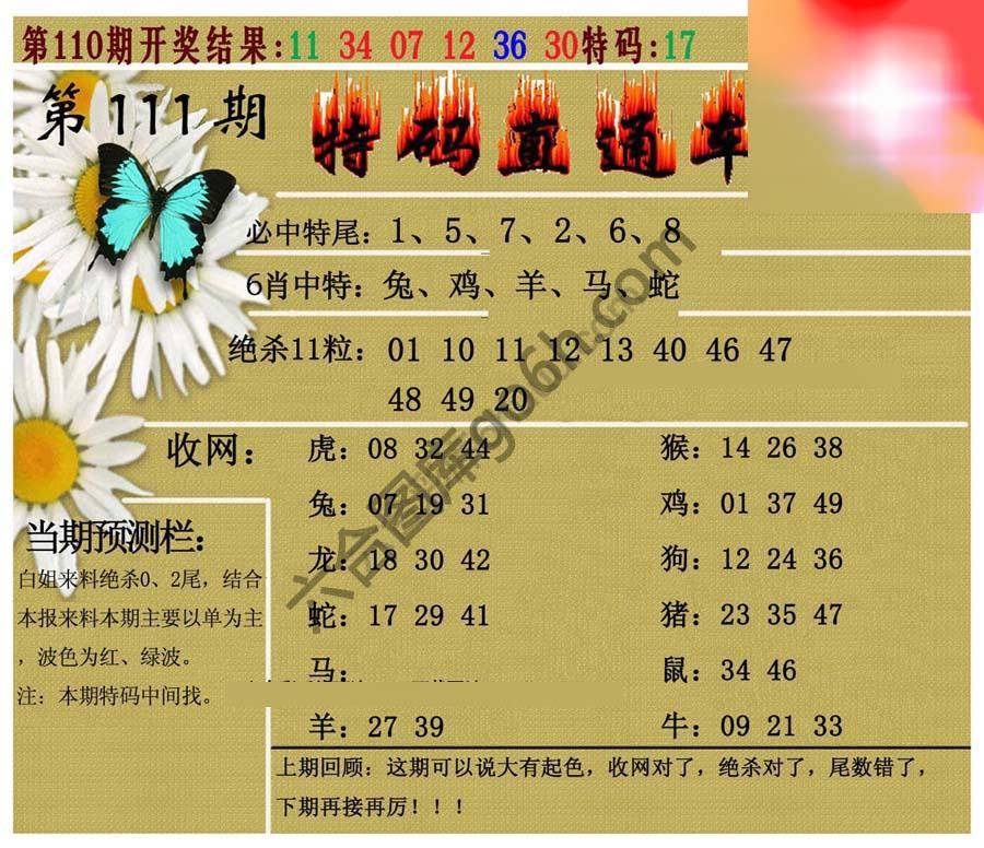 特码直通车