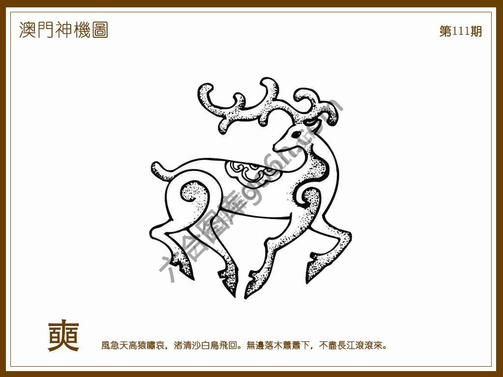澳门神机图