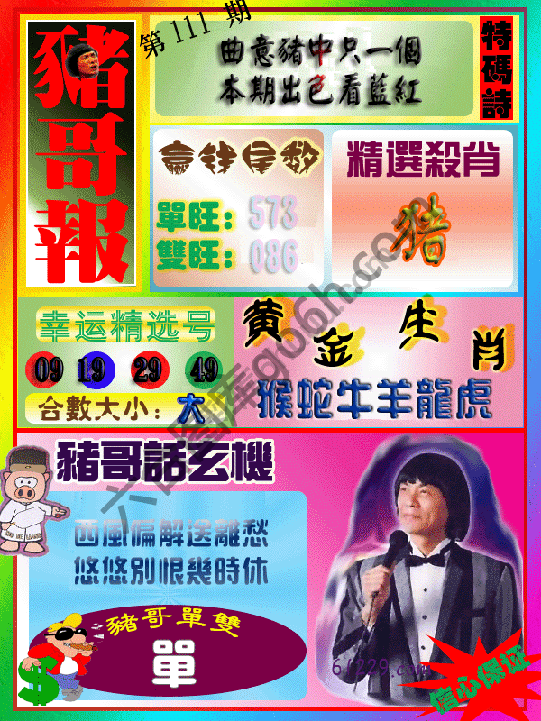 猪哥报