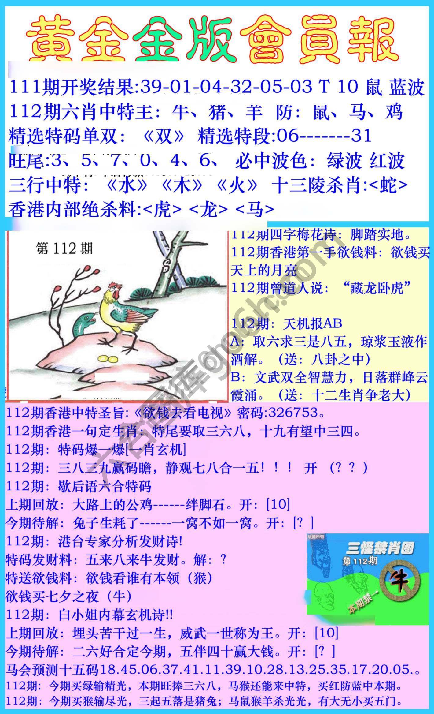 黄金金版会员报
