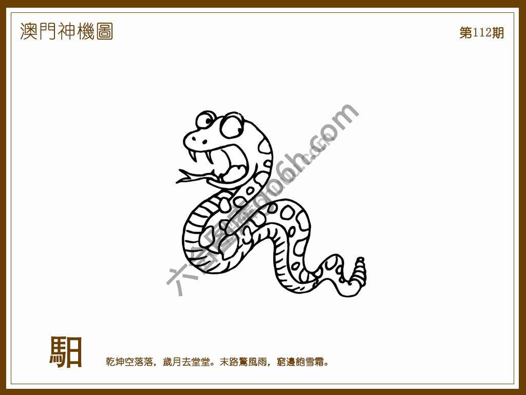 澳门神机图