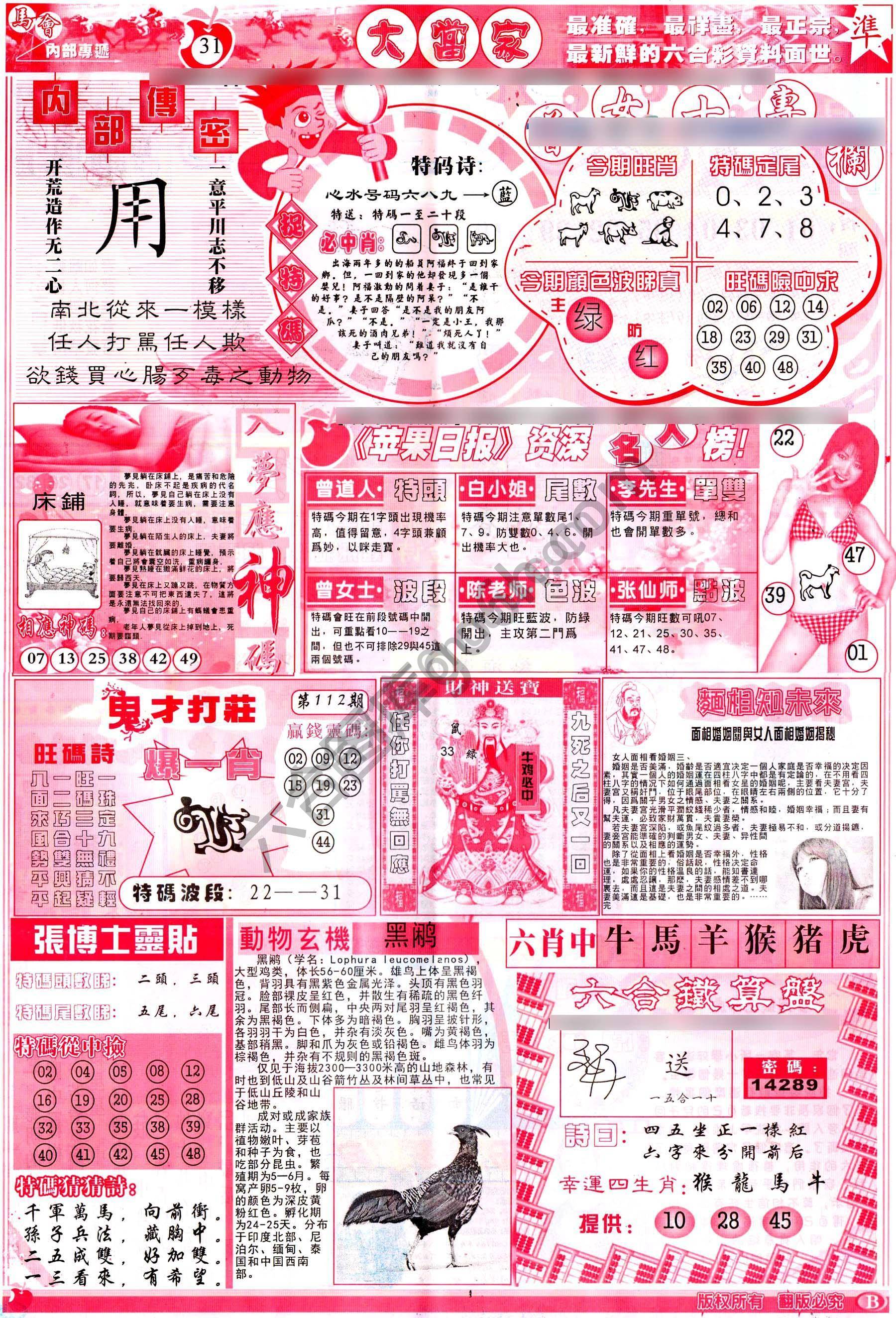 大当家
