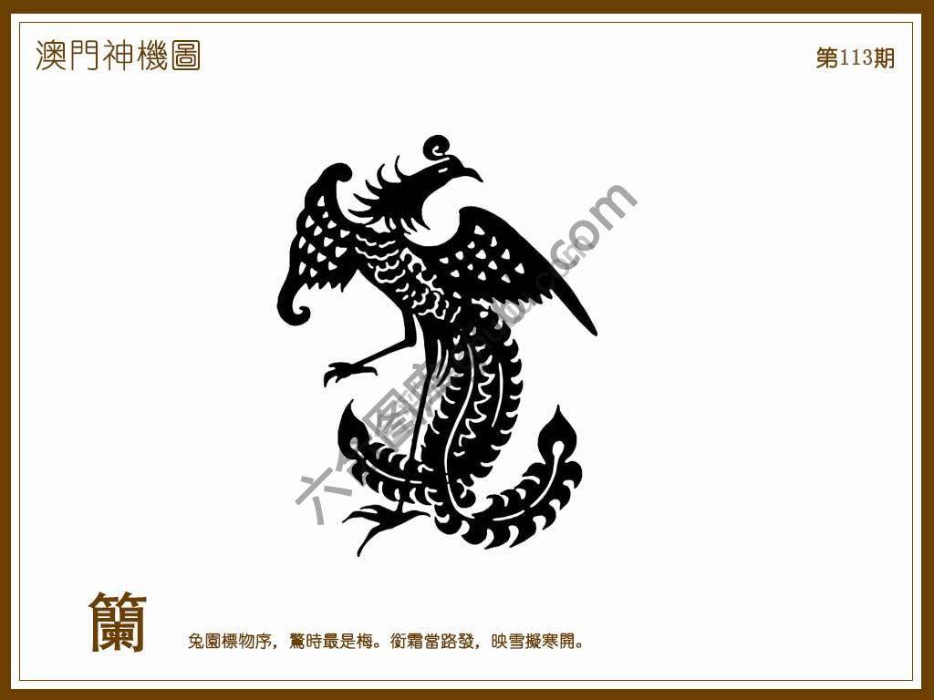 澳门神机图