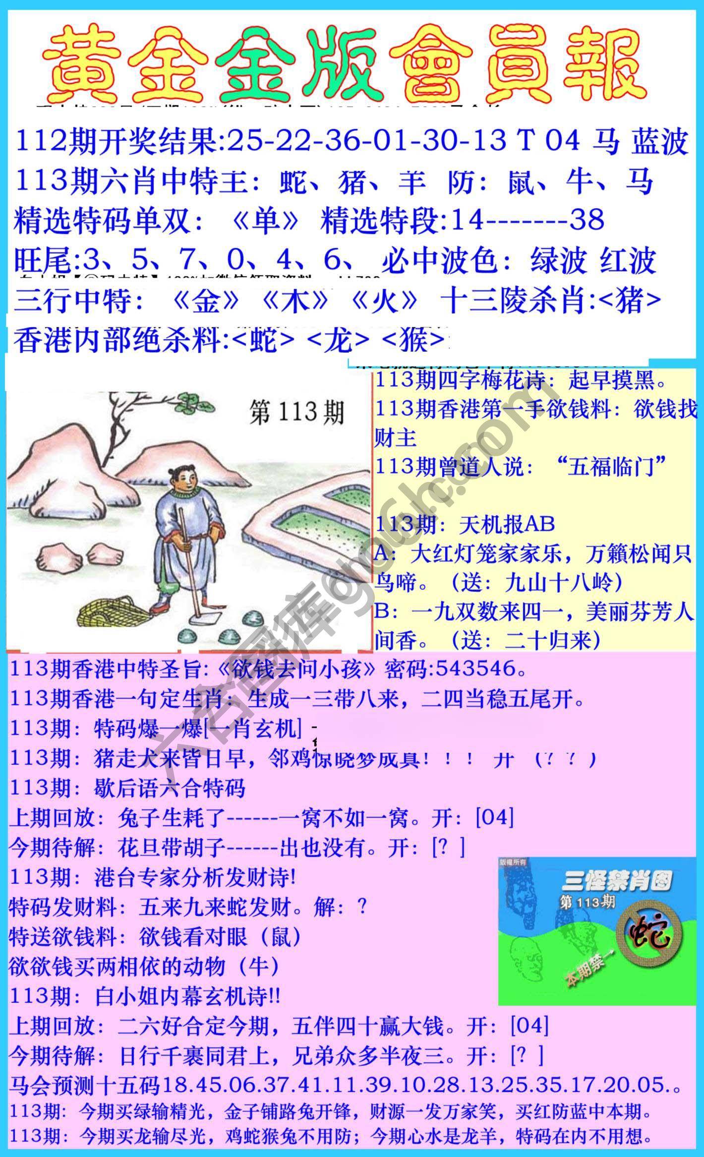 黄金金版会员报