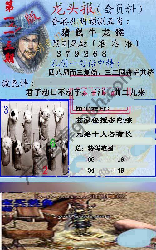 龙头报