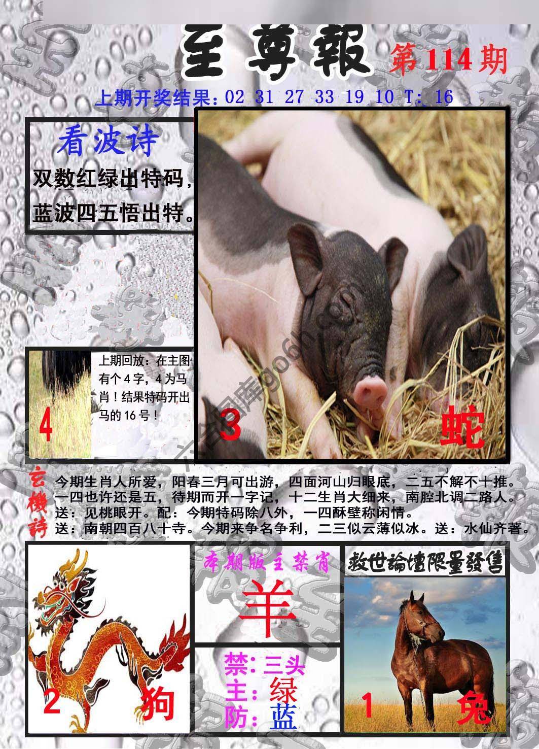 至尊报