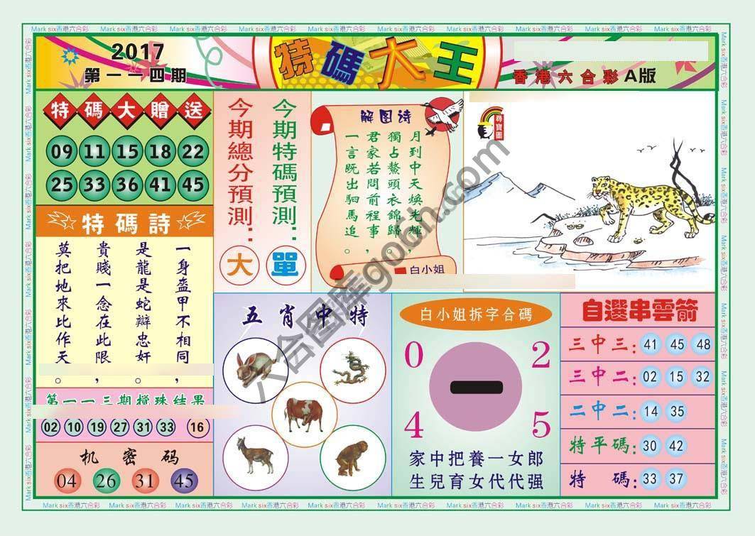 特码大王