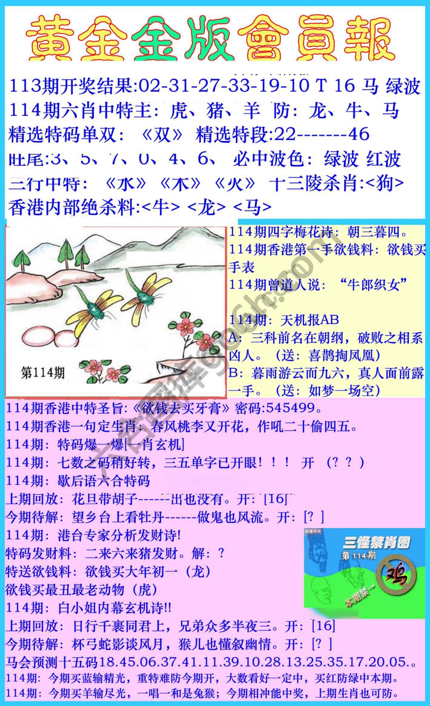 黄金金版会员报