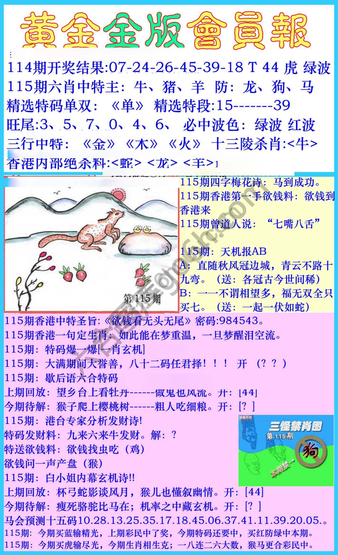 黄金金版会员报