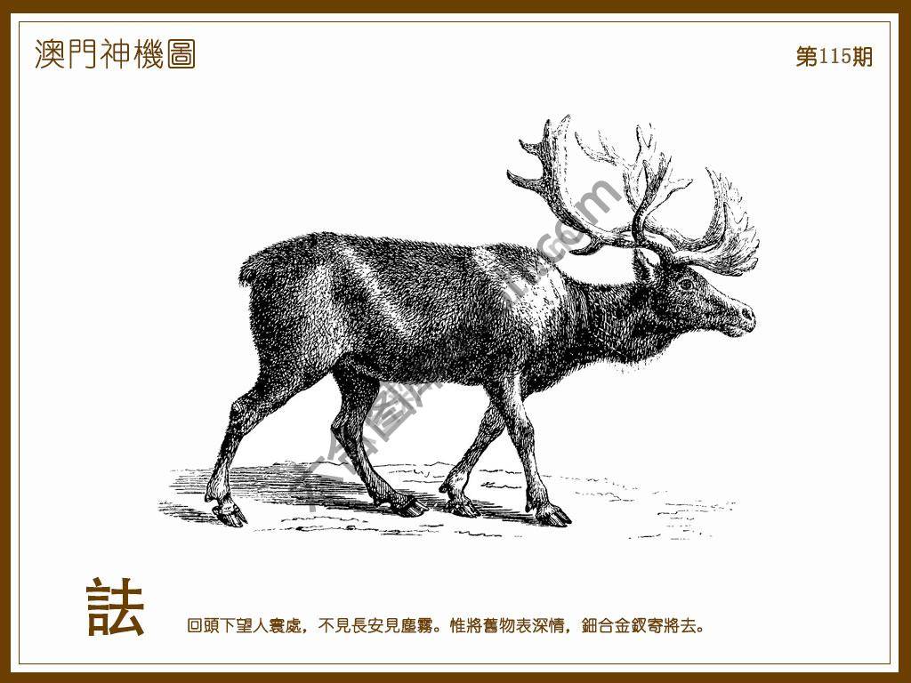 澳门神机图