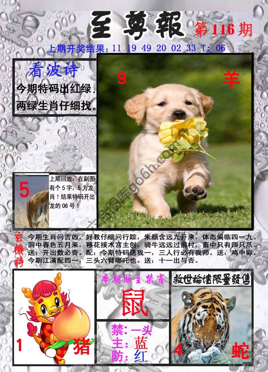 至尊报