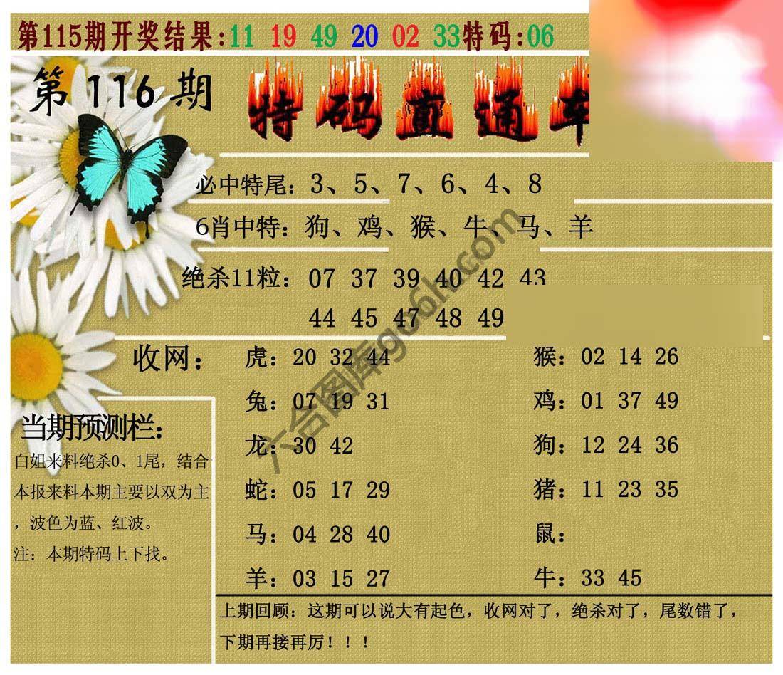 特码直通车