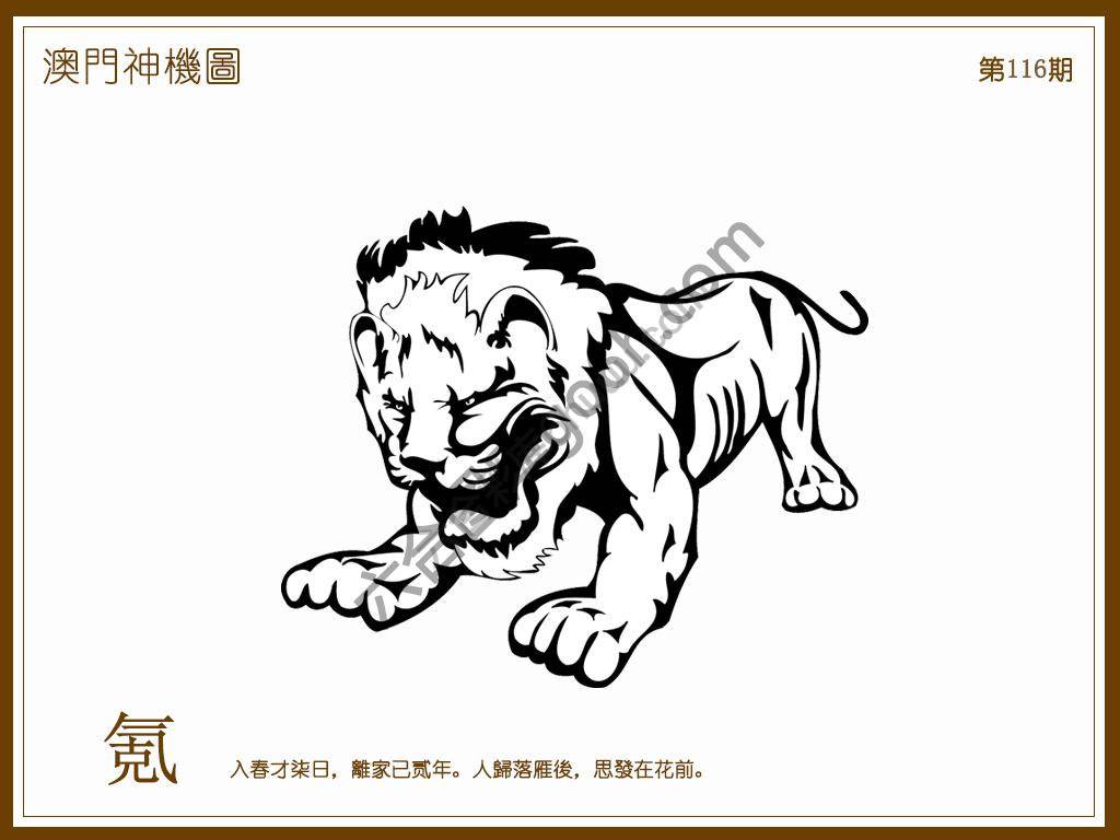 澳门神机图
