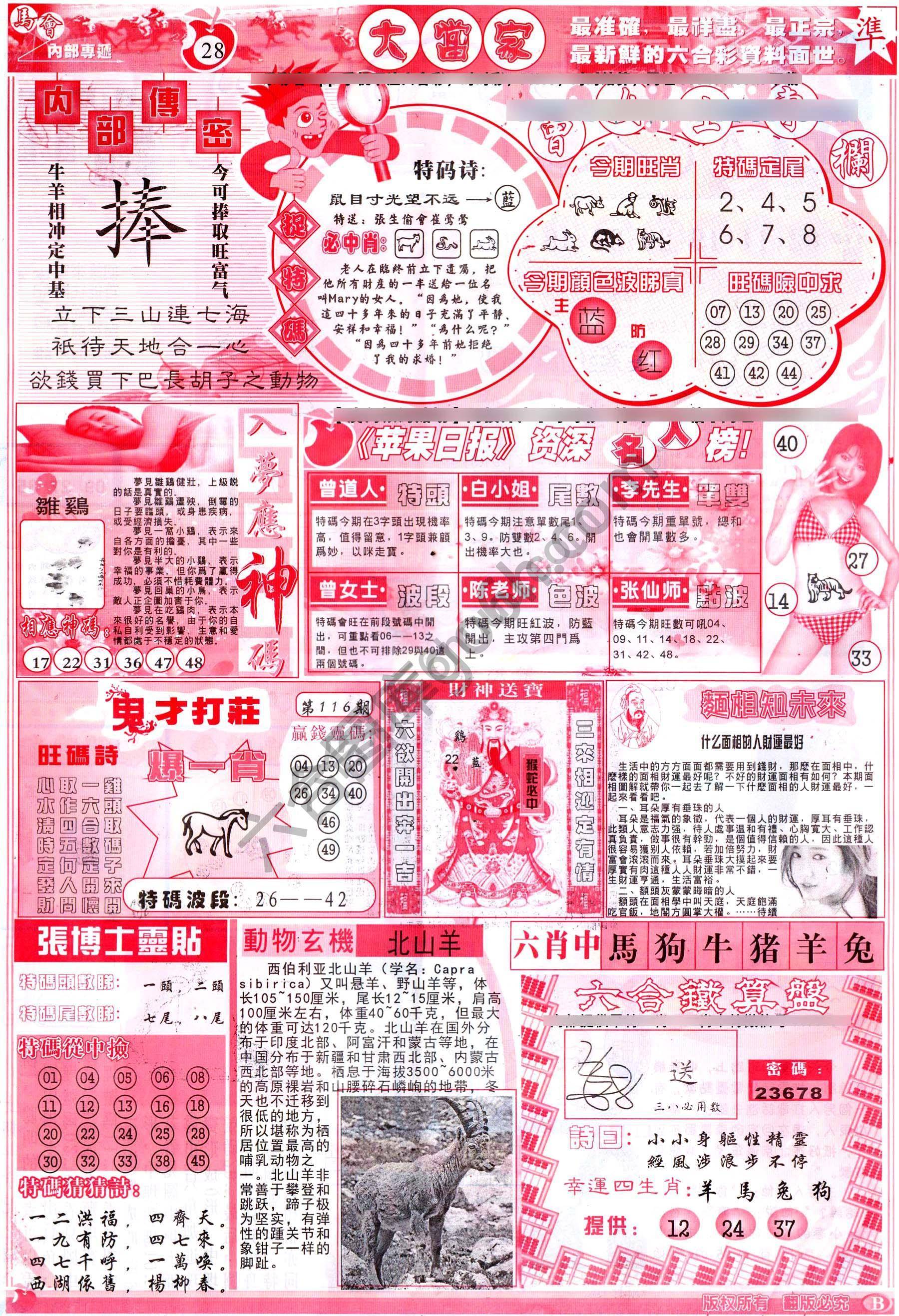大当家