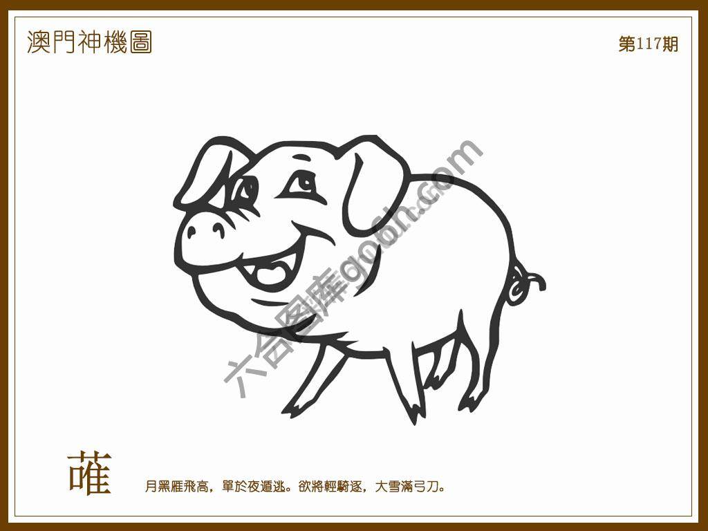 澳门神机图