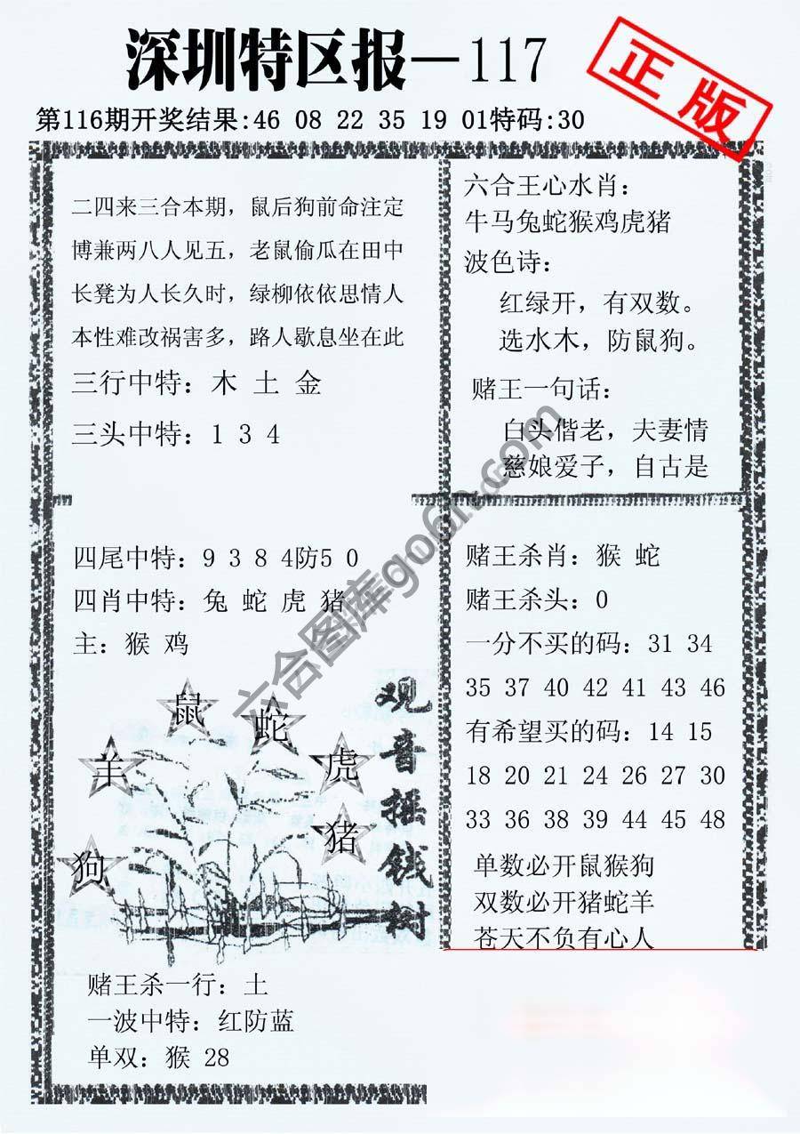 深圳特区报
