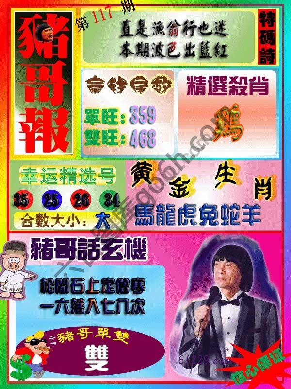 猪哥报