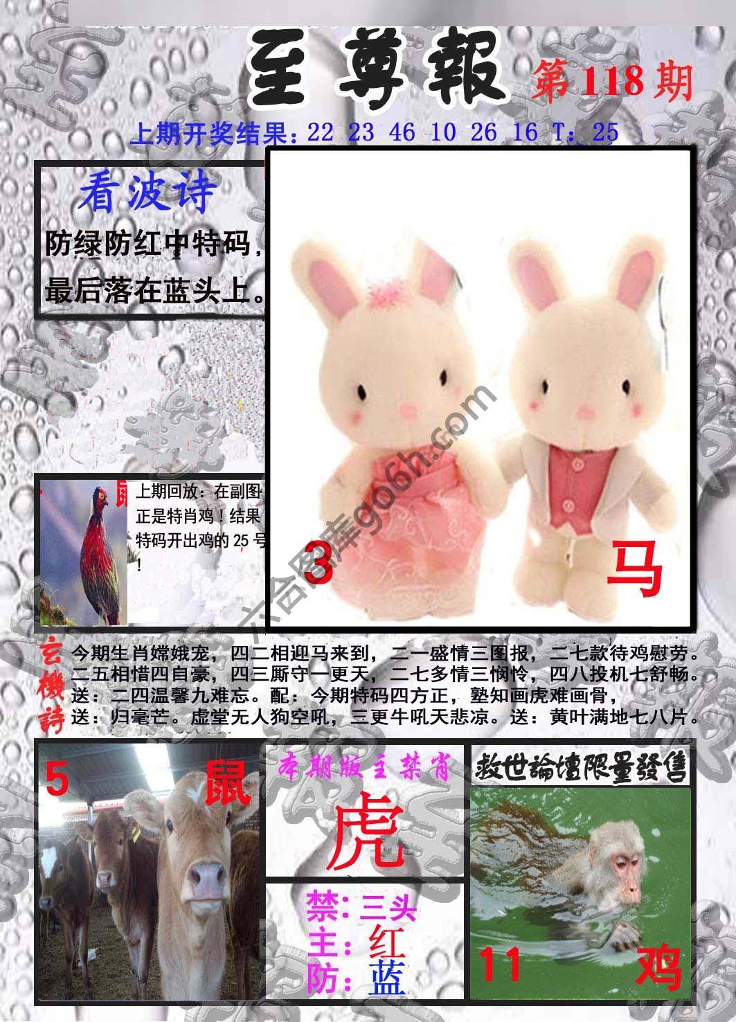 至尊报