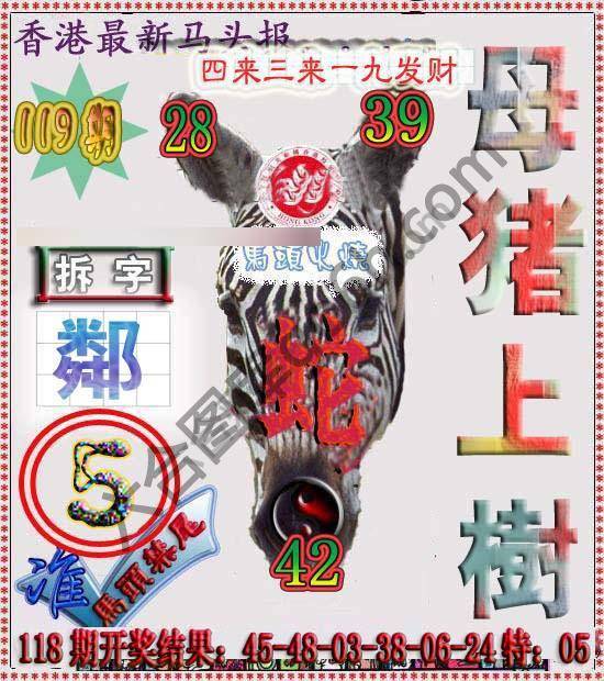 香港马头报