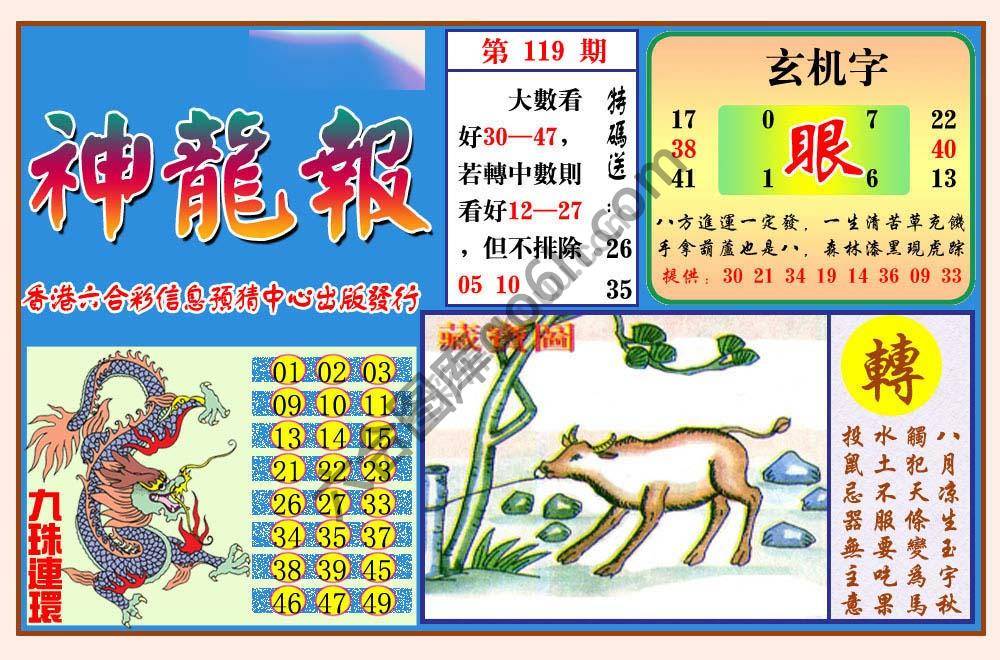 蓝月亮神龙报