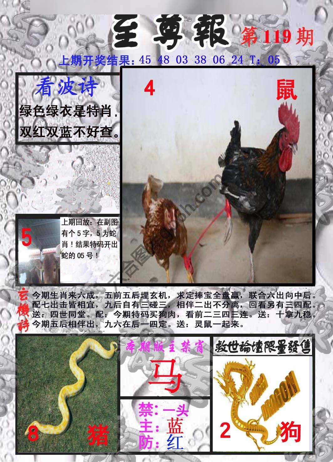 至尊报