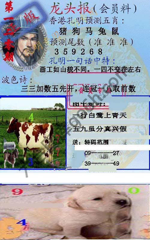 龙头报