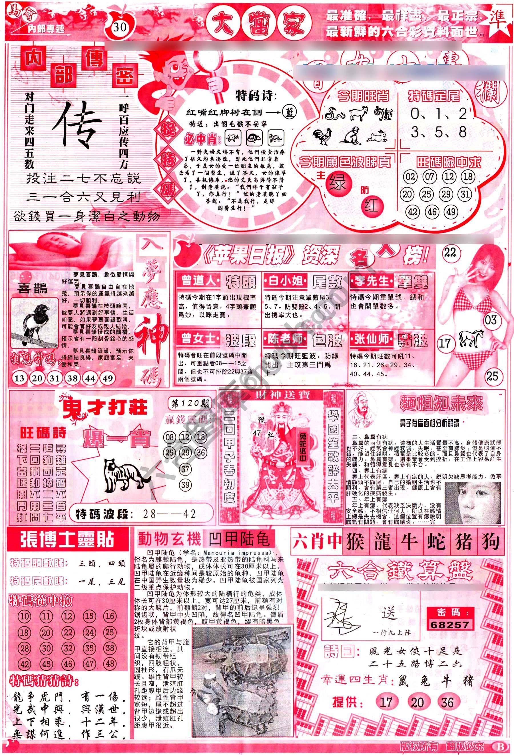 大当家