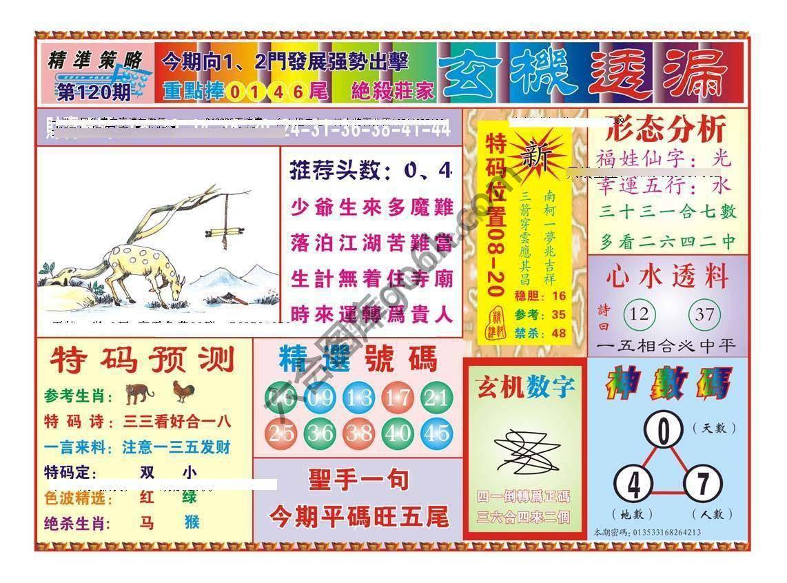 玄机透漏