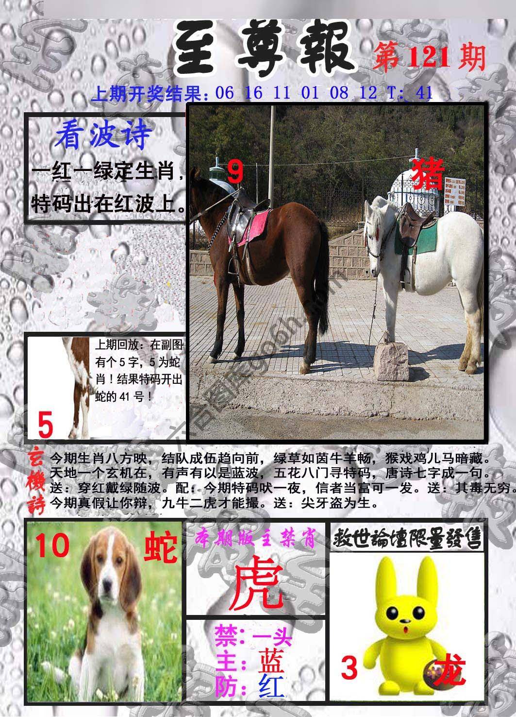 至尊报