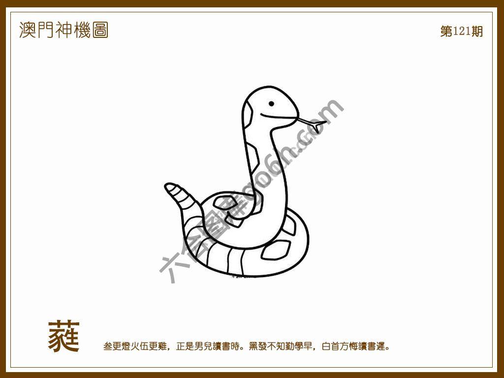 澳门神机图