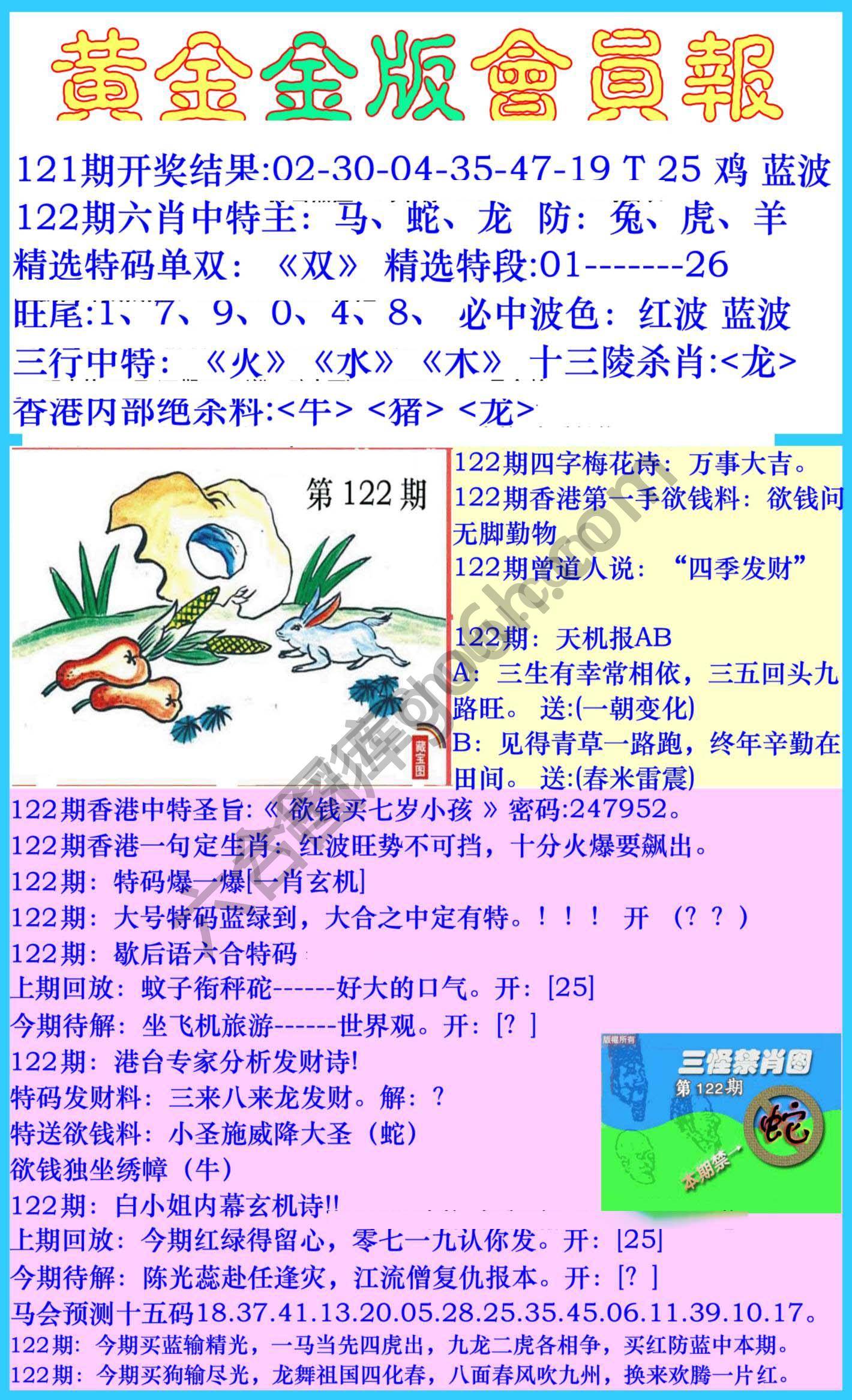 黄金金版会员报