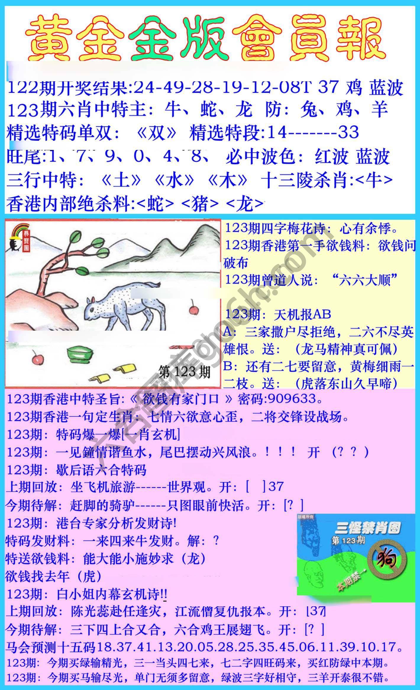 黄金金版会员报